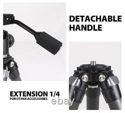 3 Section Mini Carbon Fiber Tripod Stand with Ball Head for DSLR Camera