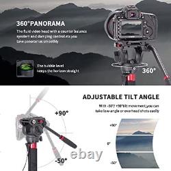 Avella CD324 Carbon Fiber Video Monopod Kit with Fluid Head and Removable fee