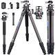 Compact Carbon Fiber Tripod With 40Mm Low Profile Ball Head Kit 10-Layer Carbo