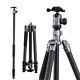 Open Fotopro Sherpa Carbon Fiber Travel Tripod with FPH-42QS Ball Head (grey)