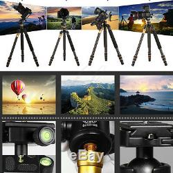 Q-999C Portable Detachable Traveling Tripod With Ball Head For DSLR Camera