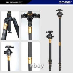 ZOMEI Carbon Fiber Independent Tripod &Ball Head Travel for Canon DSLR Camera